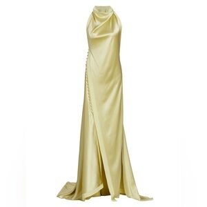 DANIELLE FRANKEL
Women's Sasha Satin Button-detail Gown In Yellow